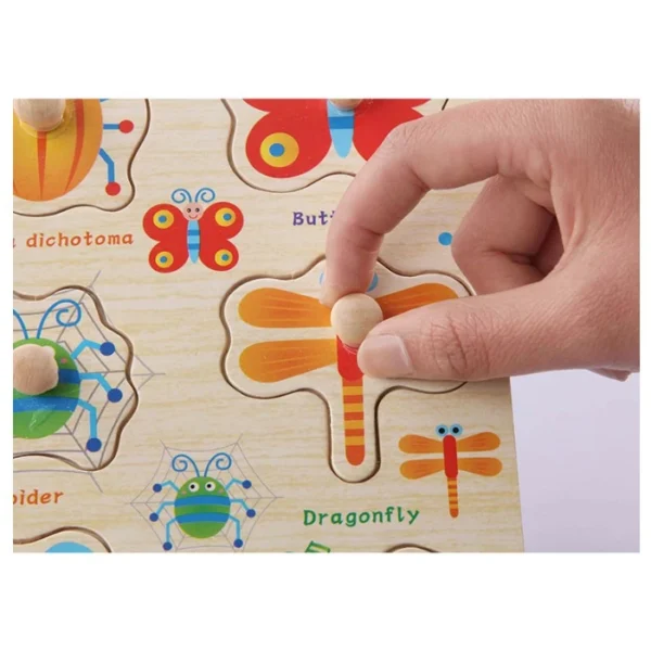 Wooden Peg Puzzle