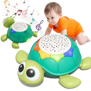 Musical Turtle Baby Toy