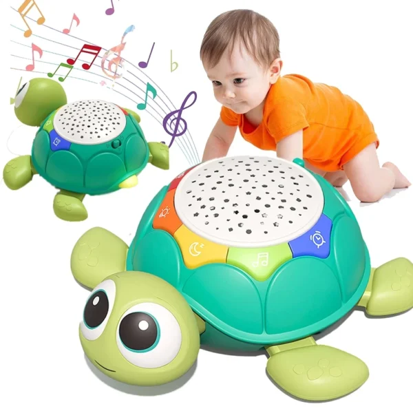 Musical Turtle Baby Toy