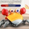 Random Crawling Crab Toy