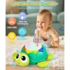 Musical Turtle Baby Toy