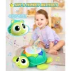 Musical Turtle Baby Toy