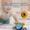 Random Crawling Crab Toy
