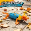 Random Remote Control Climbing Lizard