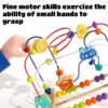 Wooden Animal Fruit Bead Maze